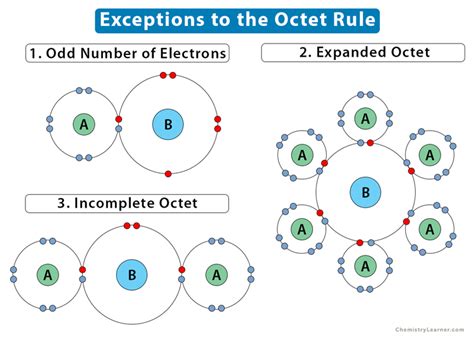 What Is Meant By Exception To The Rule