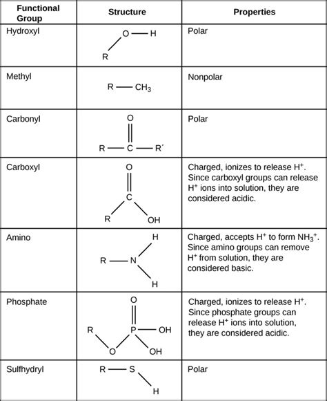 what is meant by functional group explain with an example