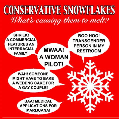what is meant by snowflake in politics