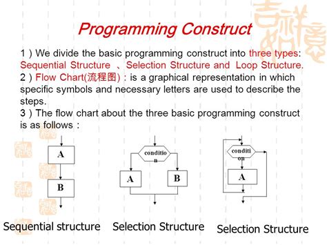 what is meant by the programming construct selection '