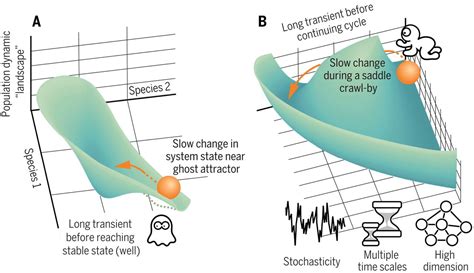 what is meant by transient phenomena