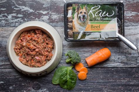 what is meat meal in dog food