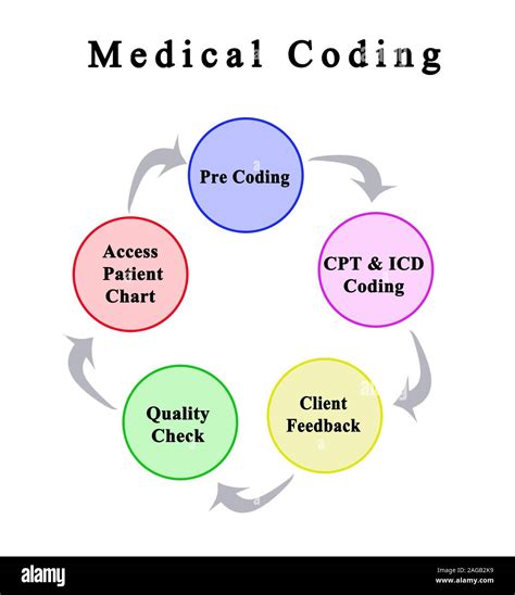 what is medical coding and its types