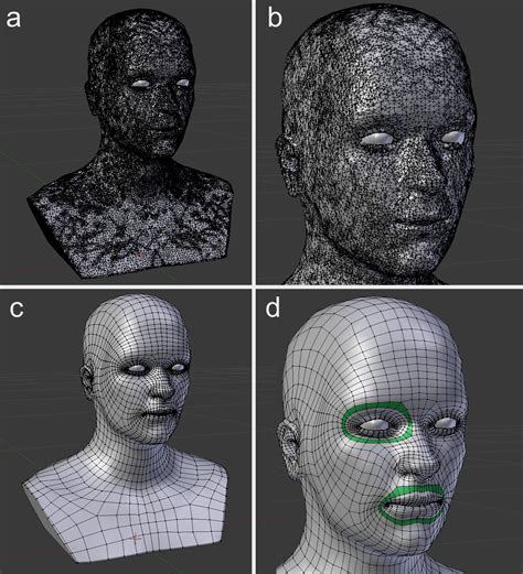 what is mesh in 3d modeling