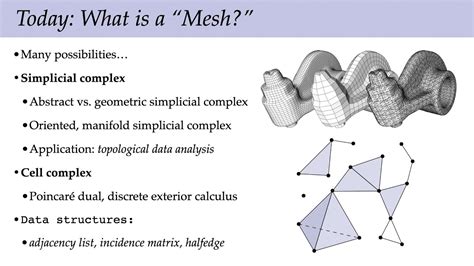 what is mesh term