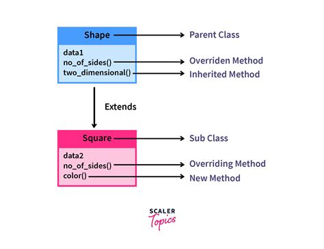 what is method overriding in python with example