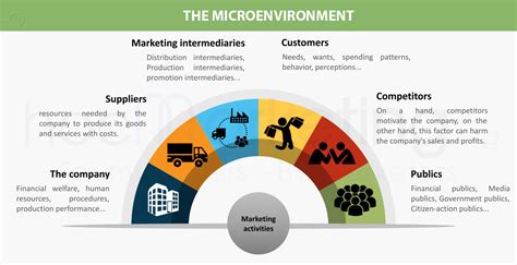 what is micro environment and examples