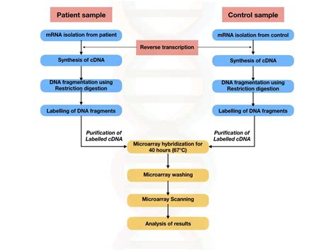 What Is Microarray-Based Autosomal Dna Testing