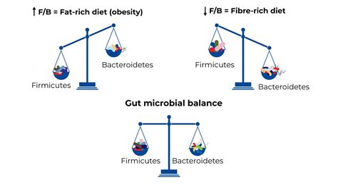 What Is Microbial Balance