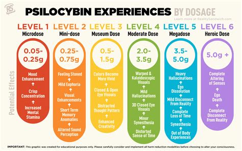 what is microdosing psilocybin