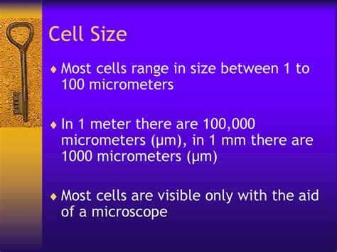 What Is Micrometers In Cell