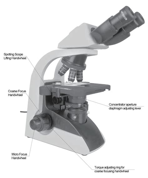 What Is Microscope In Science Definition