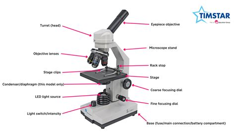 What Is Microscope With Diagram