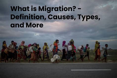 what is migration its types and causes