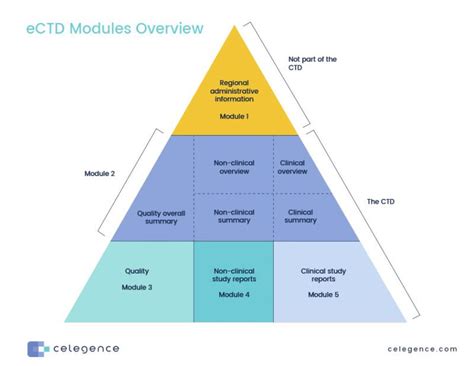 what is module 3