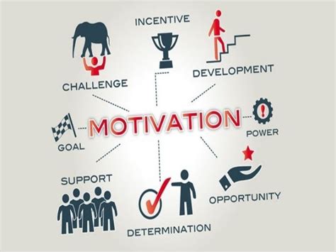 what is motivation in human behavior in organization