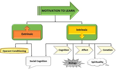 what is motivation in learning process