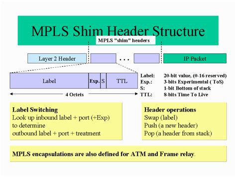 what is mpls header