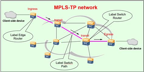 what is mpls tp