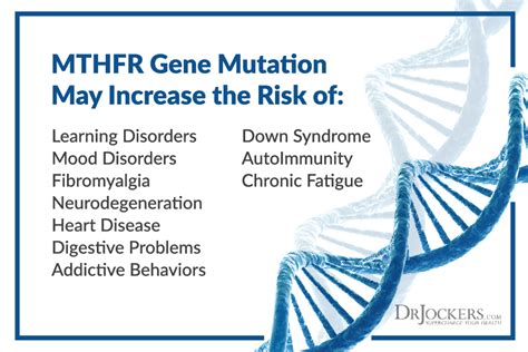 Uncovering the Genetic Code: What is MTHFR Mutation and How Does it Impact Your Health?