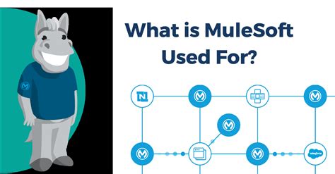 what is mule in software