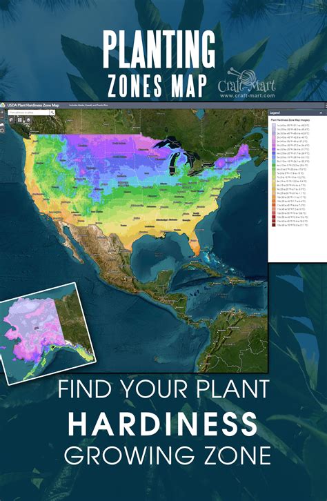 what is my planting zone by zip code