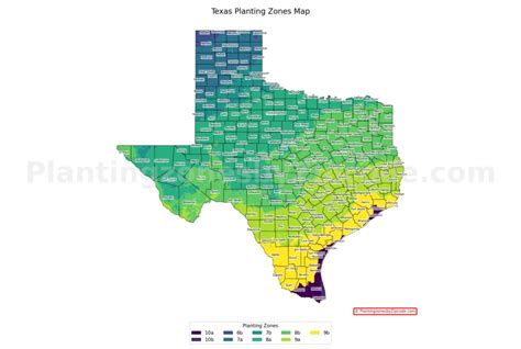 what is my planting zone in texas by zip code