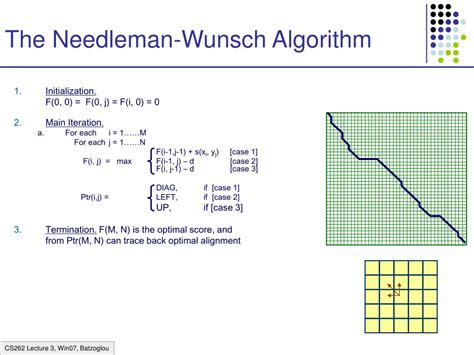 Unlock the Magic: A Beginner's Guide to the Needleman-Wunsch Algorithm for Easy Sequence Alignment
