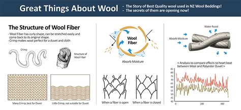 what is new zealand wool