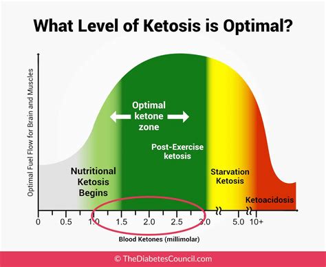 What Is Normal Ketone Levels