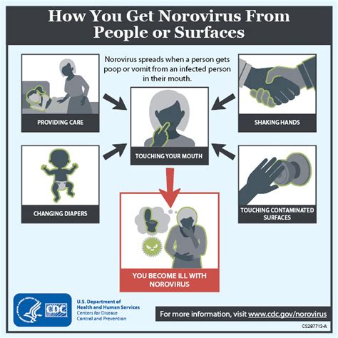 what is norovirus spread by