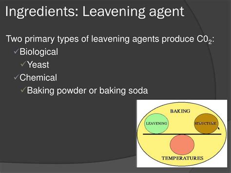 What Is Not An Example Of A Leavening Agent