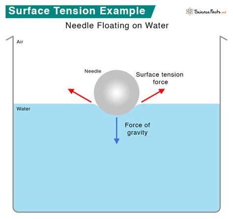 What Is Not An Example Of Surface Tension