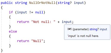 What Is Not Null C