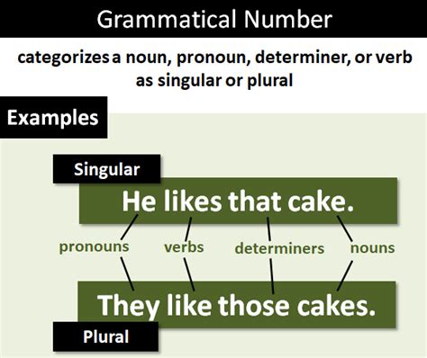 what is number in grammar