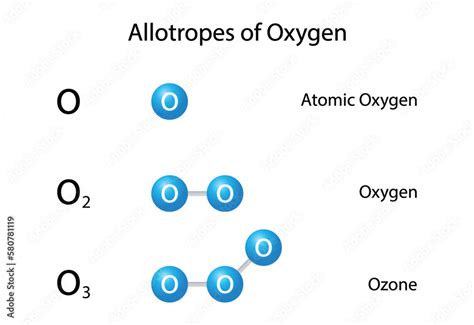 what is o1 o2 and o3 in o level