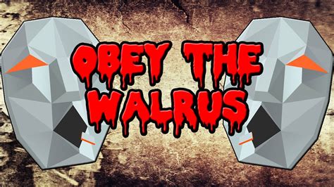what is obey the walrus
