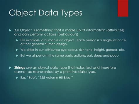 what is object data type