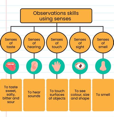 what is observation in science process skills