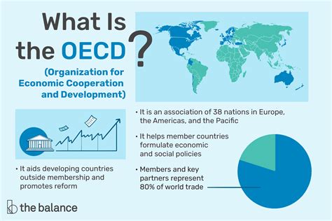 what is oecd report