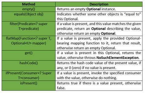 what is optional type in java