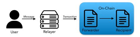 what is organisation code in meta transaction