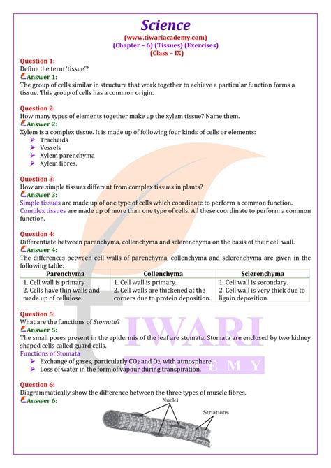 what is output work in science class 9