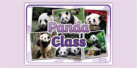 what is panda class