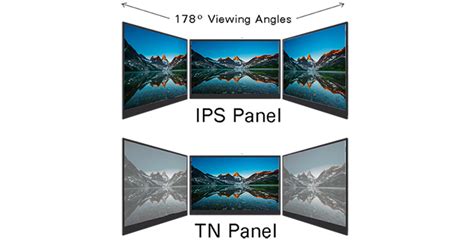 What Is Panel Type Tn Vs Ips