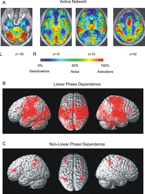 what is parallel processing in neuroscience