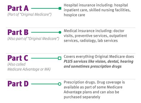 What Is Part C Coverage