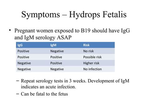 what is parvovirus b19 igg positive