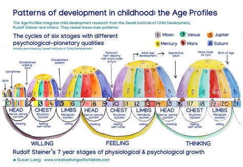 what is pattern of development