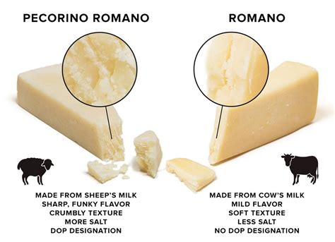 what is pecorino romano cheese made from